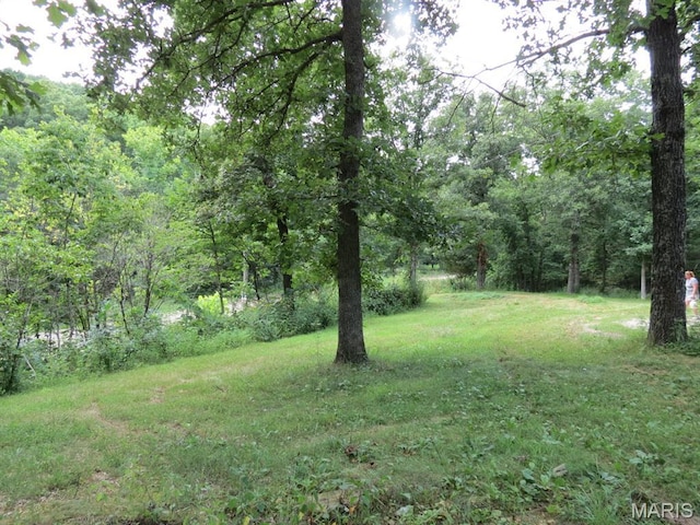 10756 Hamilton Hollow Rd, Sullivan, MO 63080 - photo 9