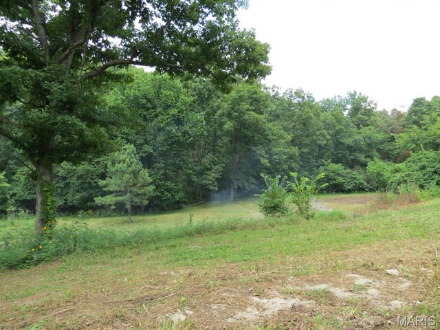 10756 Hamilton Hollow Rd, Sullivan, MO 63080 - photo 11