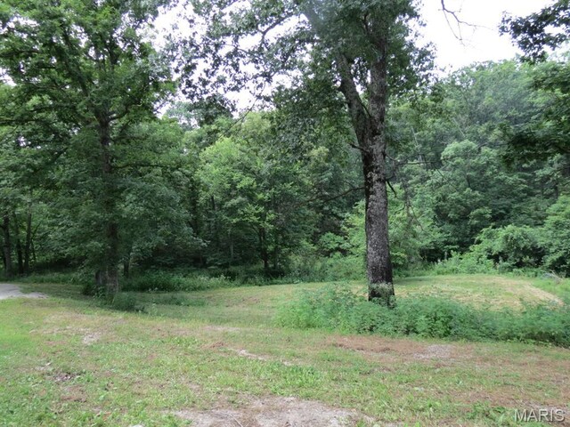 10756 Hamilton Hollow Rd, Sullivan, MO 63080 - photo 12