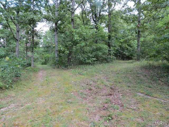 10756 Hamilton Hollow Rd, Sullivan, MO 63080 - photo 16
