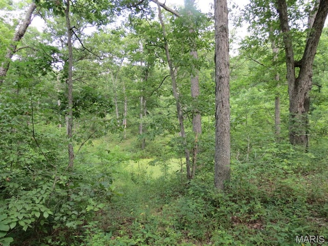 10756 Hamilton Hollow Rd, Sullivan, MO 63080 - photo 17