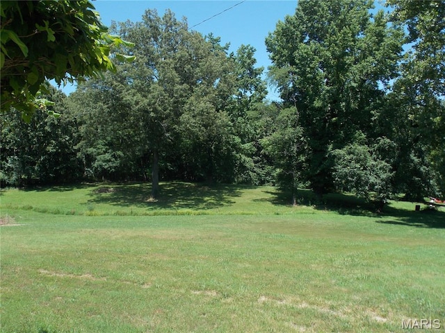 2005 W Spring, Poplar Bluff, MO 63901 - photo 5