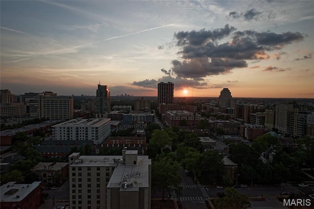4466 W Pine Blvd Unit 23C, Saint Louis, MO 63108 - photo 23