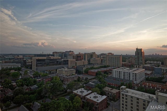 4466 W Pine Blvd Unit 23C, Saint Louis, MO 63108 - photo 24
