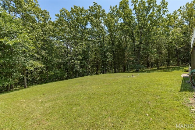 318 Doe Run Ln, Bonne Terre, MO 63628 - view of green lawn