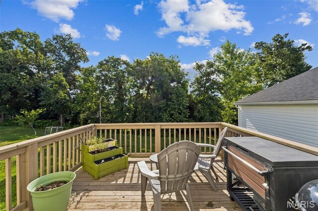 1294 Oakholt Ct, Herculaneum, MO 63048 - photo 24