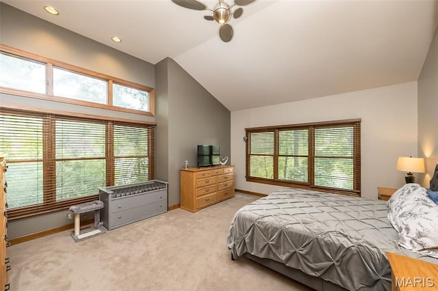 639 Wood Fern Dr, Ballwin, MO 63021 - photo 21