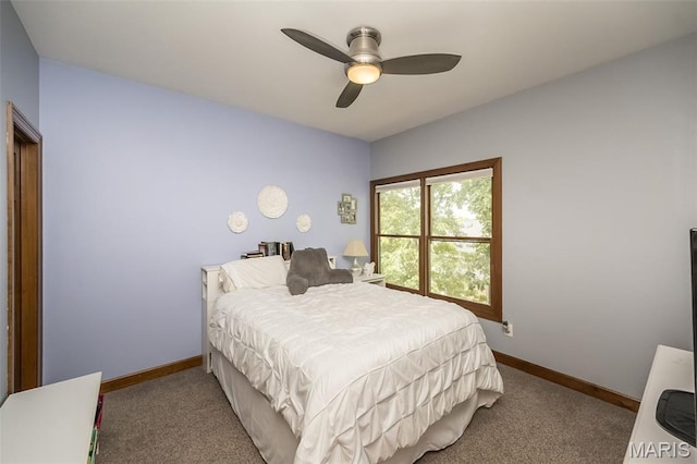 639 Wood Fern Dr, Ballwin, MO 63021 - photo 32