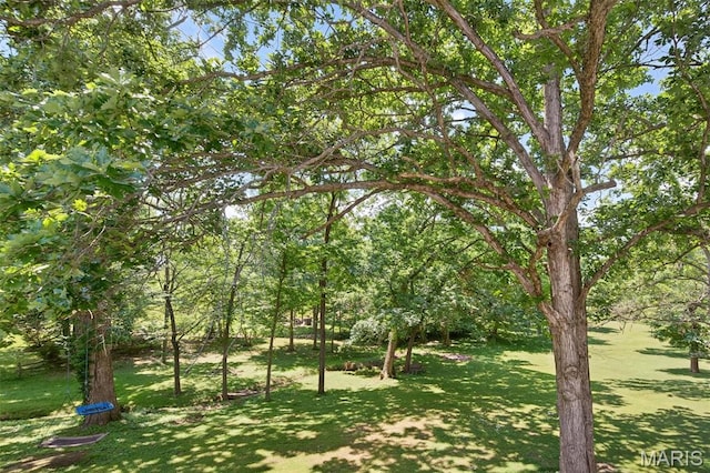156 Bluffview Dr, Troy, MO 63379 - view of grassy yard