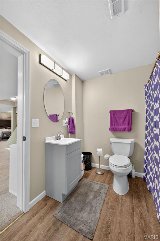 156 Bluffview Dr, Troy, MO 63379 - bathroom featuring vanity and wood finished floors