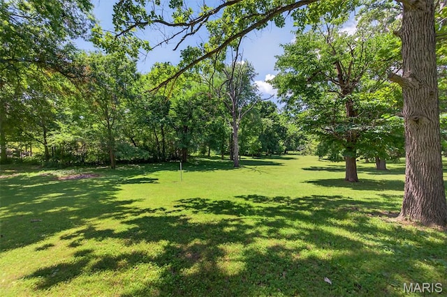 156 Bluffview Dr, Troy, MO 63379 - view of green lawn