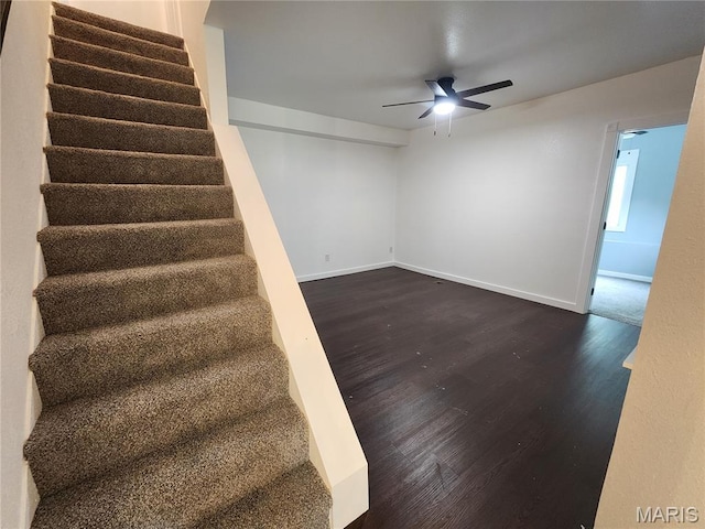 316 Swan St, Hannibal, MO 63401 - photo 13
