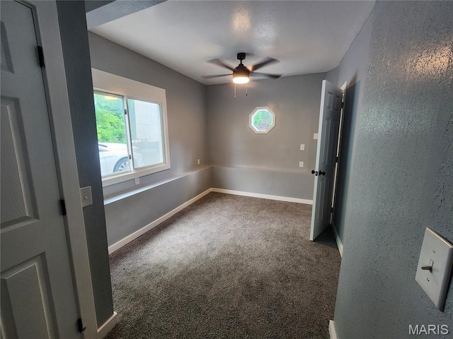 316 Swan St, Hannibal, MO 63401 - photo 17