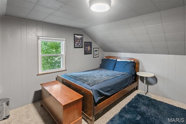 608 N Main St, Marissa, IL 62257 - photo 33