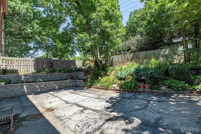 7801 Delmar Blvd Unit 2W, University City, MO 63130 - fenced backyard featuring a patio