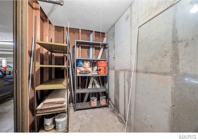 10 Jefferson Rd Unit 3A, Webster Groves, MO 63119 - view of storage room