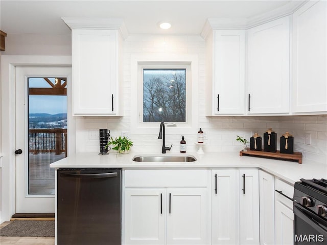 24925 State Route Mm, Farmington, MO 63640 - kitchen with stainless steel dishwasher, light countertops, white cabinets, backsplash, and recessed lighting