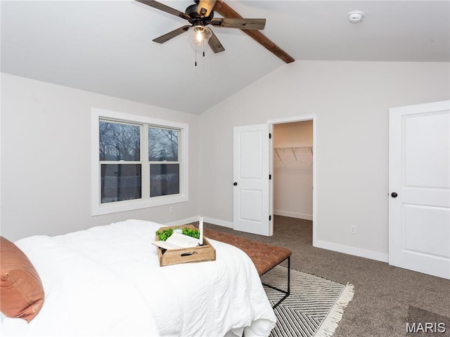 24925 State Route Mm, Farmington, MO 63640 - bedroom with carpet floors, a spacious closet, and a ceiling fan