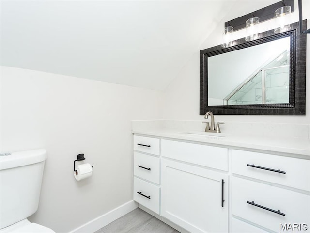 24925 State Route Mm, Farmington, MO 63640 - bathroom featuring lofted ceiling and vanity