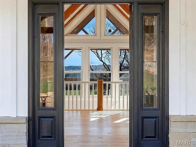 24925 State Route Mm, Farmington, MO 63640 - entryway with vaulted ceiling and wood finished floors