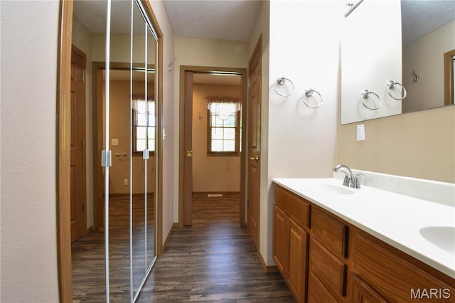 408 Marty Graten Ct, Hamel, IL 62046 - bathroom with wood finished floors, double vanity, and a textured ceiling