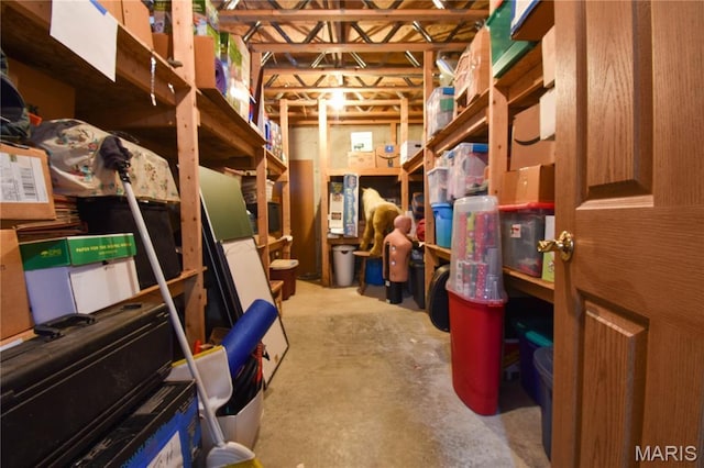 408 Marty Graten Ct, Hamel, IL 62046 - view of storage room