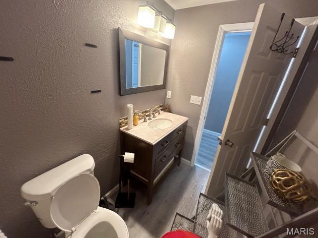 2763 Cascade Lake Dr, Belleville, IL 62221 - bathroom featuring wood finished floors, vanity, and a textured wall
