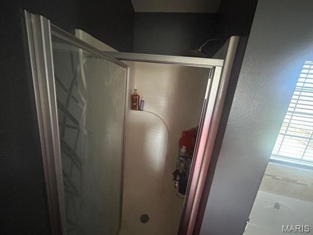 2763 Cascade Lake Dr, Belleville, IL 62221 - full bathroom featuring a shower stall and a tub