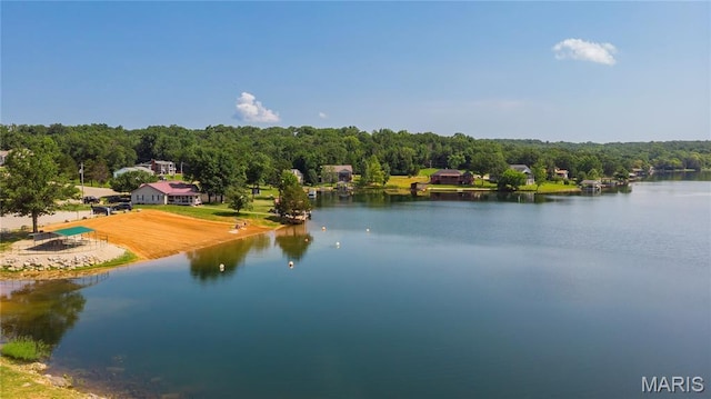 1730 Napoleon Dr, Bonne Terre, MO 63628 - photo 39