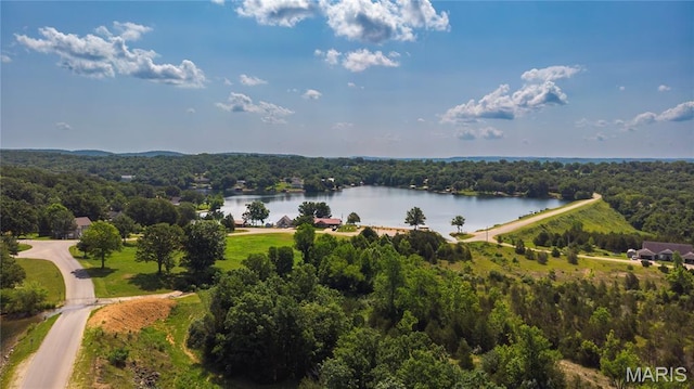 1730 Napoleon Dr, Bonne Terre, MO 63628 - photo 41