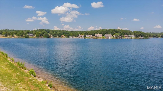 1730 Napoleon Dr, Bonne Terre, MO 63628 - photo 43