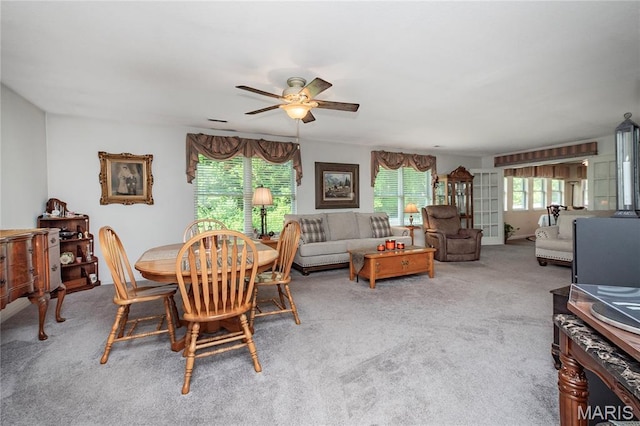 1730 Napoleon Dr, Bonne Terre, MO 63628 - photo 3