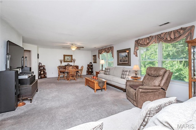 1730 Napoleon Dr, Bonne Terre, MO 63628 - photo 4