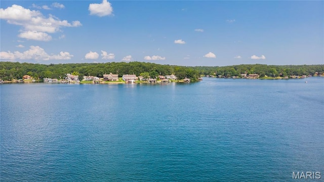 1730 Napoleon Dr, Bonne Terre, MO 63628 - photo 5