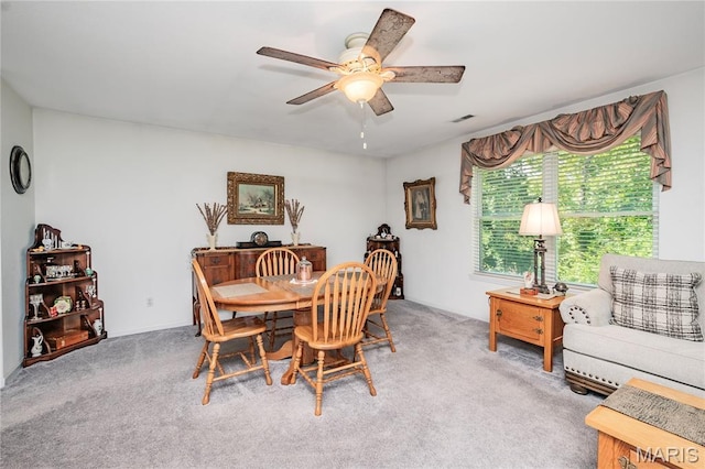 1730 Napoleon Dr, Bonne Terre, MO 63628 - photo 7