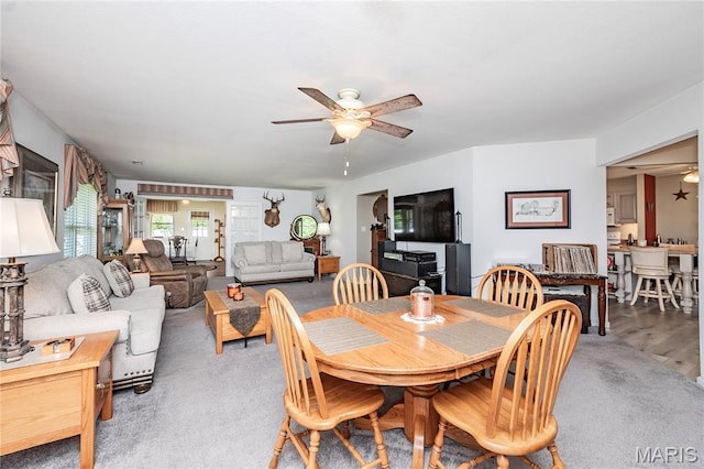 1730 Napoleon Dr, Bonne Terre, MO 63628 - photo 8