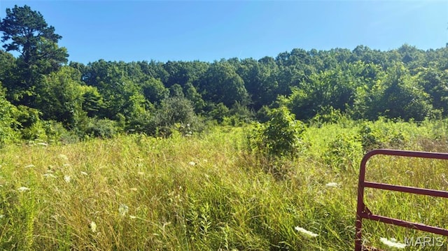 2436 Madison 504, Fredericktown, MO 63645 - photo 3