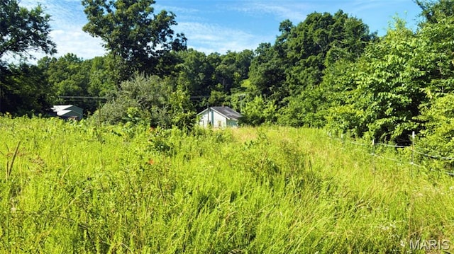 2436 Madison 504, Fredericktown, MO 63645 - photo 11