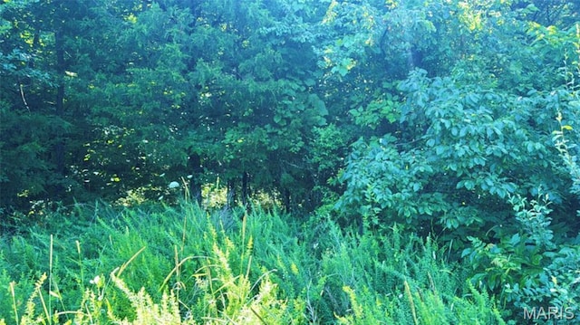 2436 Madison 504, Fredericktown, MO 63645 - photo 12