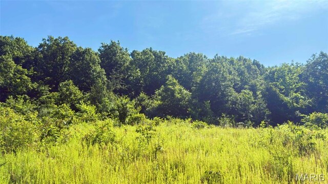2436 Madison 504, Fredericktown, MO 63645 - photo 13
