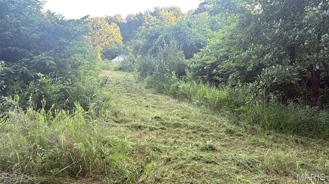 2436 Madison 504, Fredericktown, MO 63645 - photo 19