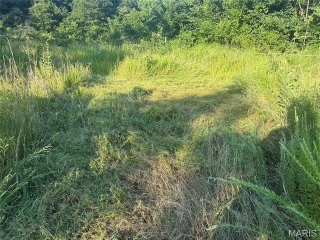 2436 Madison 504, Fredericktown, MO 63645 - photo 21
