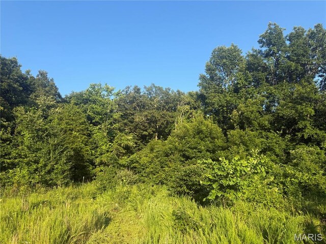 2436 Madison 504, Fredericktown, MO 63645 - photo 23