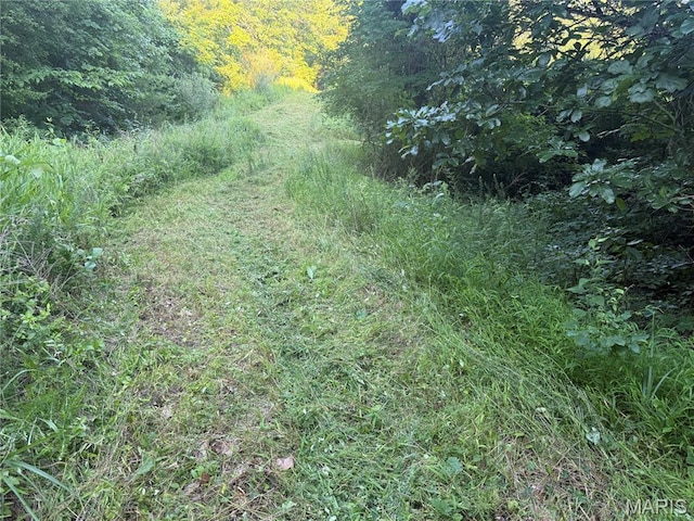 2436 Madison 504, Fredericktown, MO 63645 - photo 24