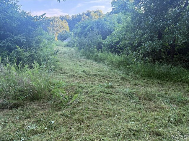 2436 Madison 504, Fredericktown, MO 63645 - photo 26