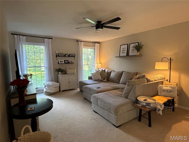 62 Carriage Rd, Hannibal, MO 63401 - photo 5