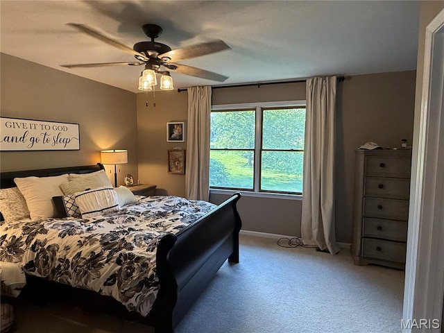 62 Carriage Rd, Hannibal, MO 63401 - photo 15