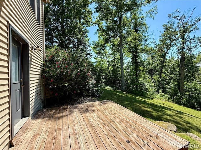 906 Lakeview Dr, Perryville, MO 63775 - photo 48