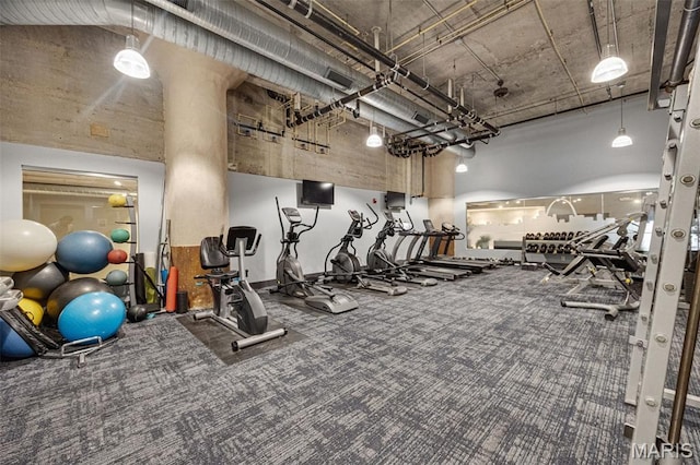 4100 Forest Park Ave Unit 306, Saint Louis, MO 63108 - workout area with carpet