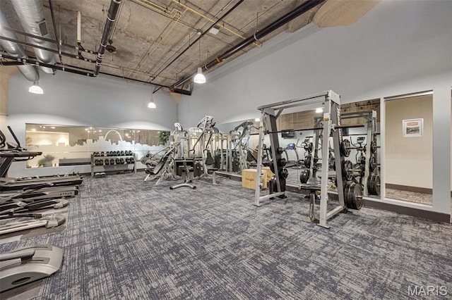 4100 Forest Park Ave Unit 306, Saint Louis, MO 63108 - workout area featuring carpet and a high ceiling